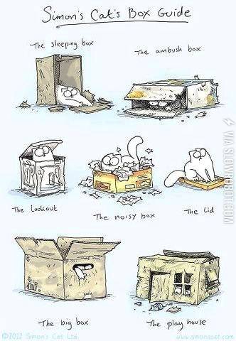 Cat+Box+Guide