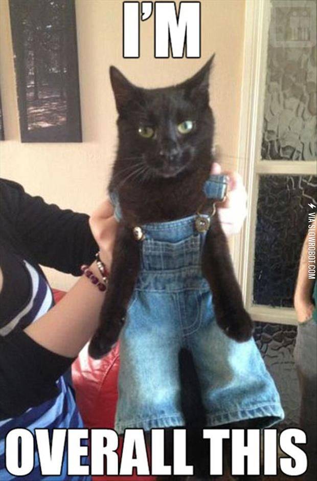 I%26%238217%3Bm+overall+this%21