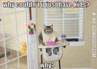 Why+couldn%26%238217%3Bt+you+just+have+kids%3F