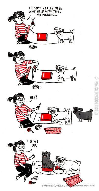 Wrapping+presents+with+pets.