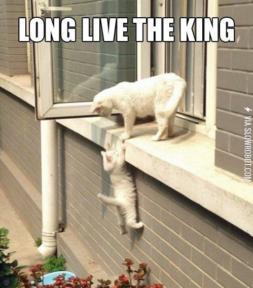 Long+live+the+king%21