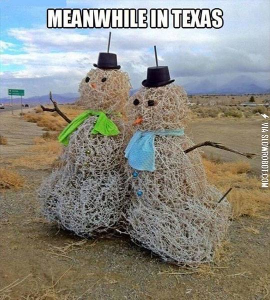 Meanwhile+in+Texas.