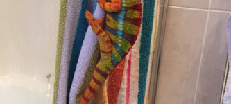 Chameleon+on+a+colorful+bath+towel