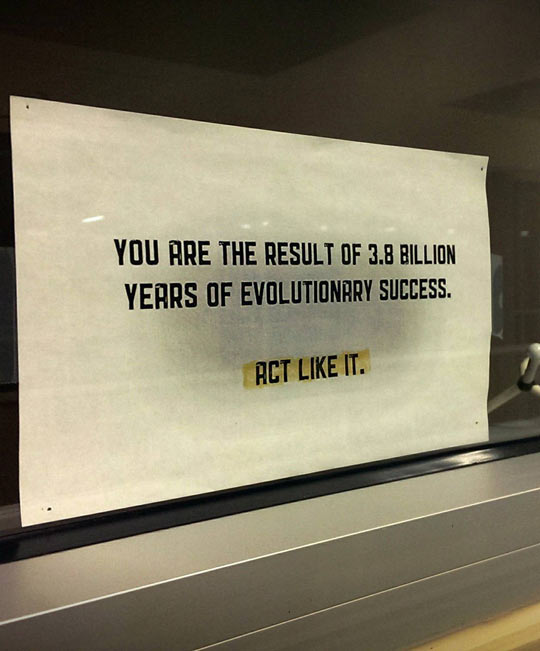 Spotted+In+The+Window+Of+A+Biology+Professor+Office