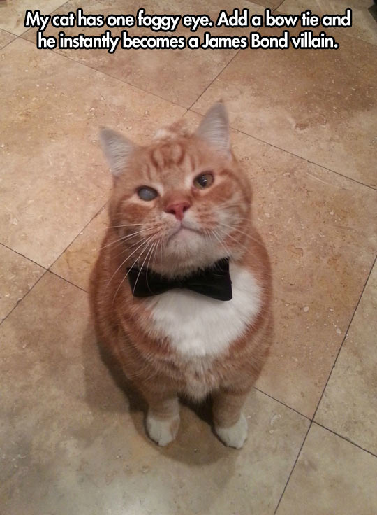 Like+A+James+Bond+Villain