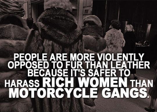 Makes+sense+actually.