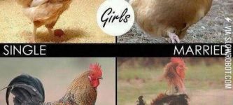 Girls+vs.+Boys.