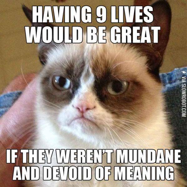 Grumpy+Cat+on+9+Lives