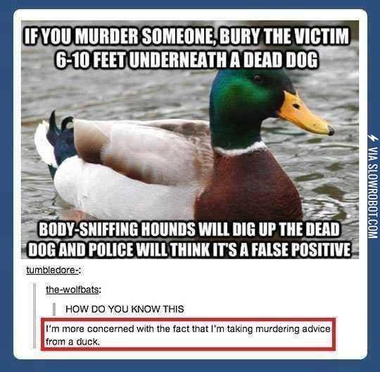 Murder+advice+expert