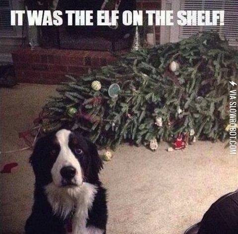 It+was+the+Elf+on+the+Shelf%21