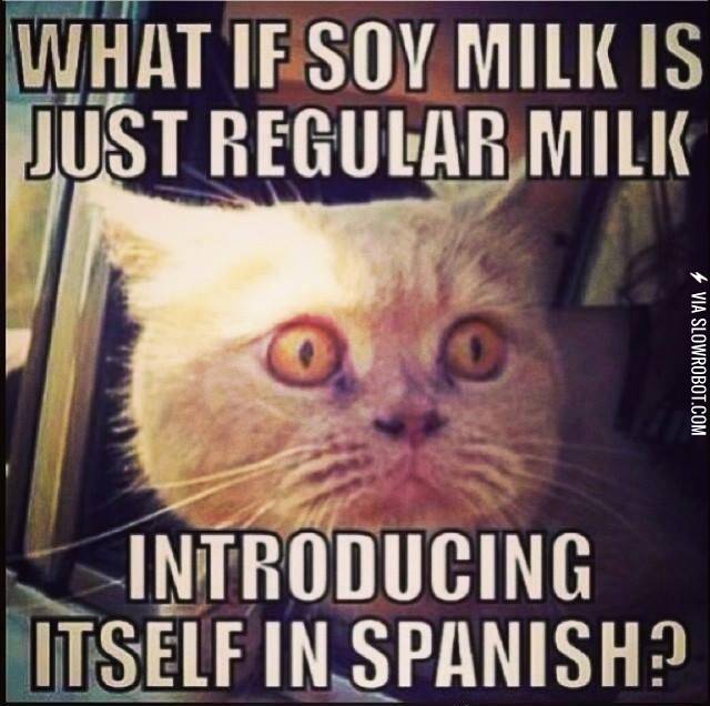Soy+milk.