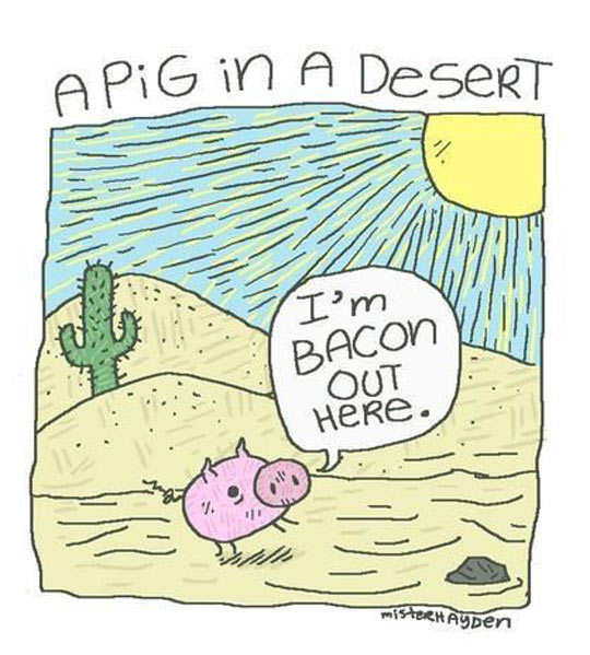 Desert+Pig