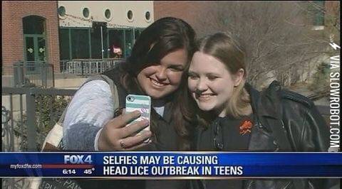Head+lice