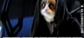 Emperor+Grumpy+Cat+Palpatine.