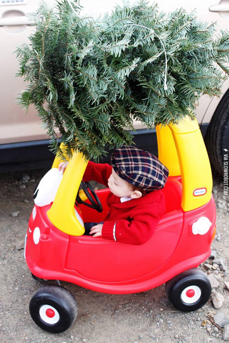 Just+picking+up+the+Christmas+tree.