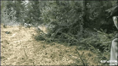 %26quot%3BFound+the+moose%26%238230%3B%26quot%3B