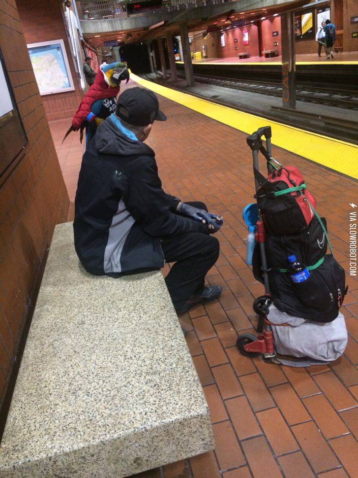 Yep%2C+a+real+parrot.+Really+wearing+a+parka.