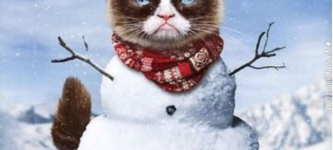 Grumpy+Cat+during+the+holidays.