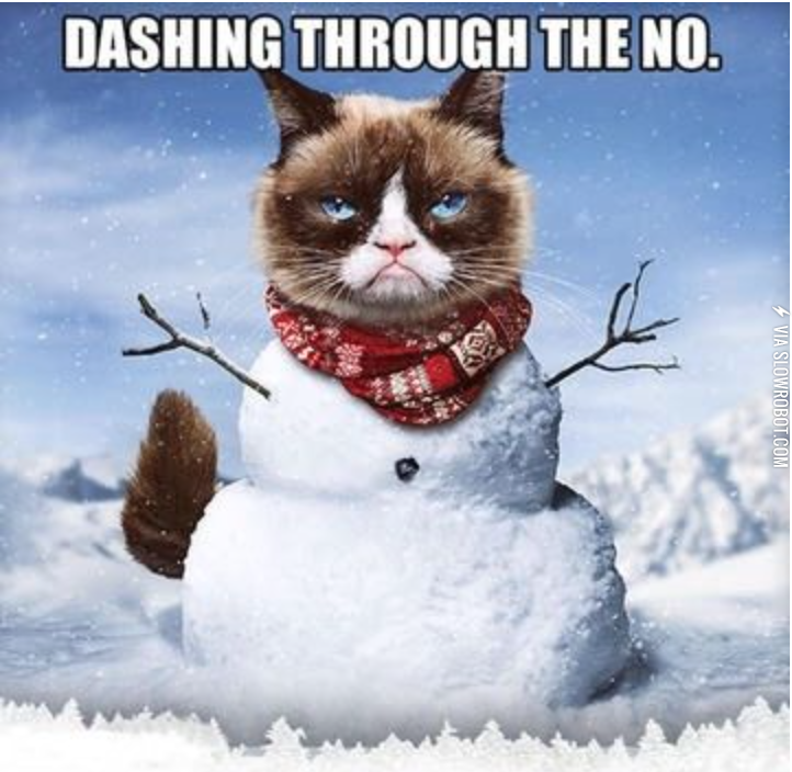 Grumpy+Cat+during+the+holidays.