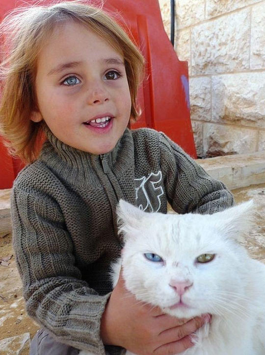 Afghan+Girl+And+Her+Cat%2C+Those+Beautiful+Eyes
