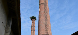 Trees+sprouted+on+top+of+abandoned+chimneys
