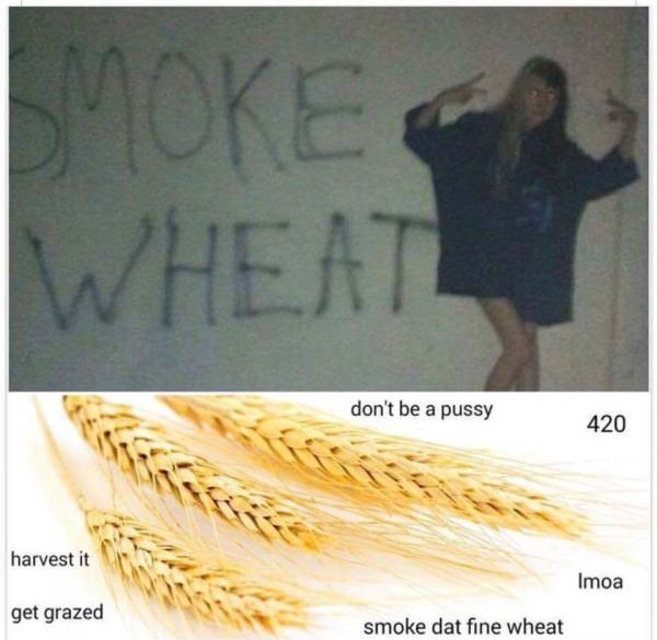 Smoke+wheat+get+good