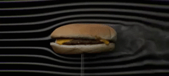The+aerodynamics+of+a+cheese+burger