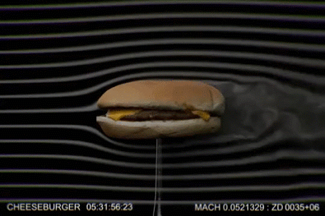The+aerodynamics+of+a+cheese+burger