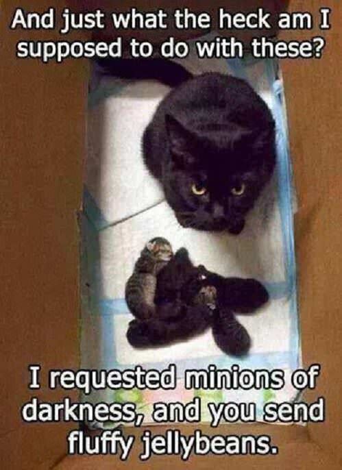 Minions+of+Darkness