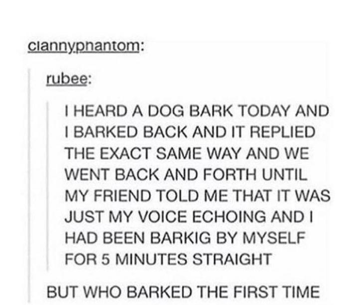 %26%238230%3Bwho+barked+first%3F