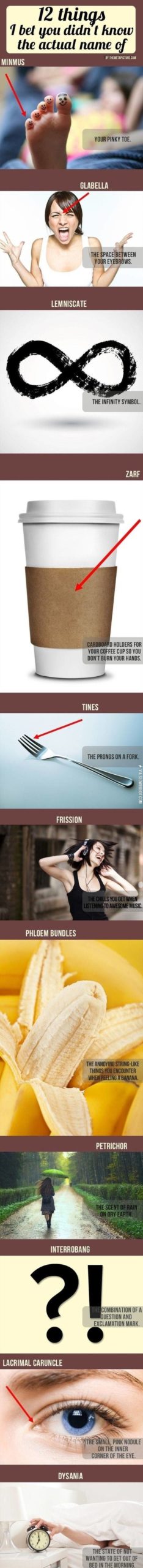 12+things+i+bet+you+didn%26%238217%3Bt+know+the+actual+name+of