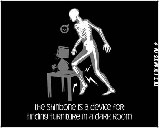 The+shinbone.