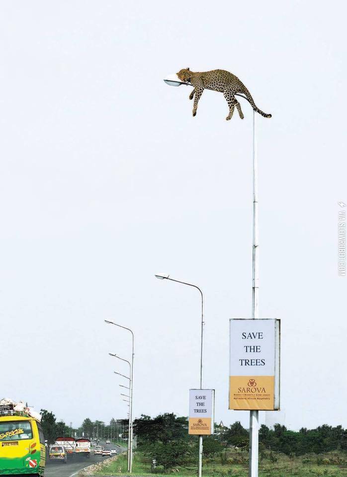 A+very+clever+conservation+campaign+in+Nairobi.