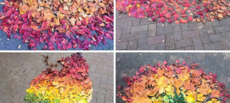 Temporary+art+from+fallen+leaves