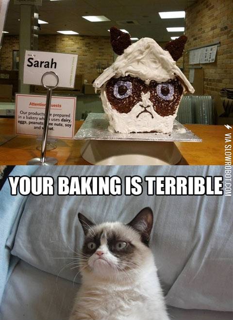 Where+Grumpy+Cat+lives.