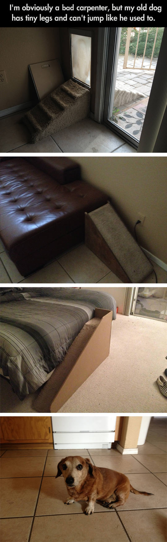 Man+Adapts+His+House+For+His+Old+Dog