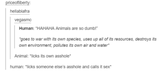 Animals+are+so+dumb