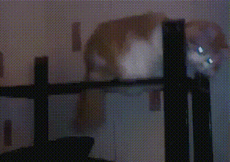 My+respect%2C+sir%21