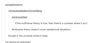 Multiverse+Theory