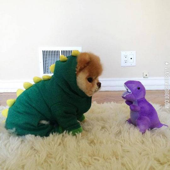 Dinosaur+buddies