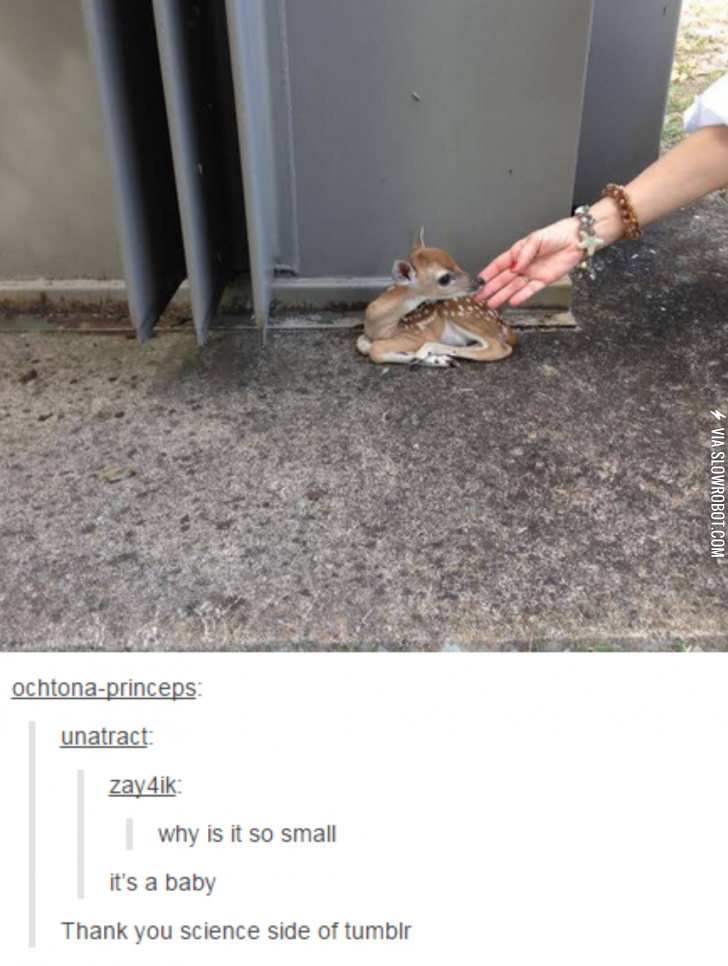 Science+side+of+tumblr.