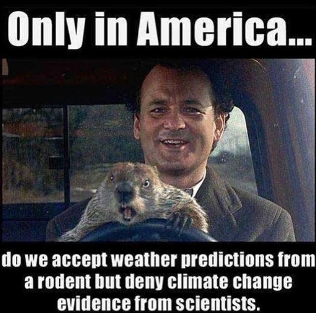 No+one+can+deny+a+source+like+Punxsutawney+Phil