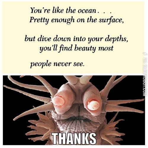 You%26%238217%3Bre+like+the+ocean.