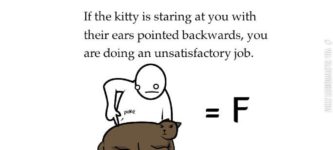 How+to+pet+a+kitty.