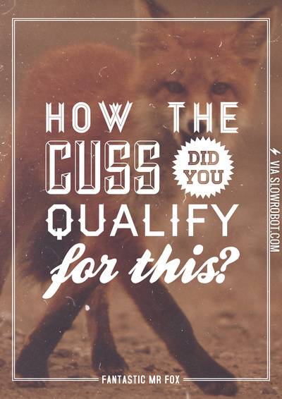 How+the+cuss+did+you+qualify+for+this%3F