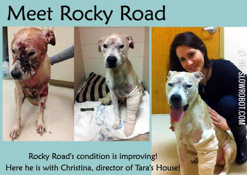 meet+rocky+road