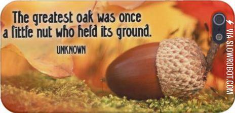 the+greatest+oak+was+once+a+little+nut%26%238230%3B