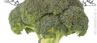 BROCOLLI