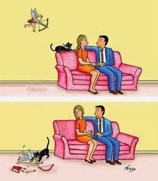 Why+People+With+Cats+Never+Find+True+Love