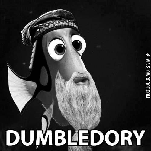 Dumbledory.